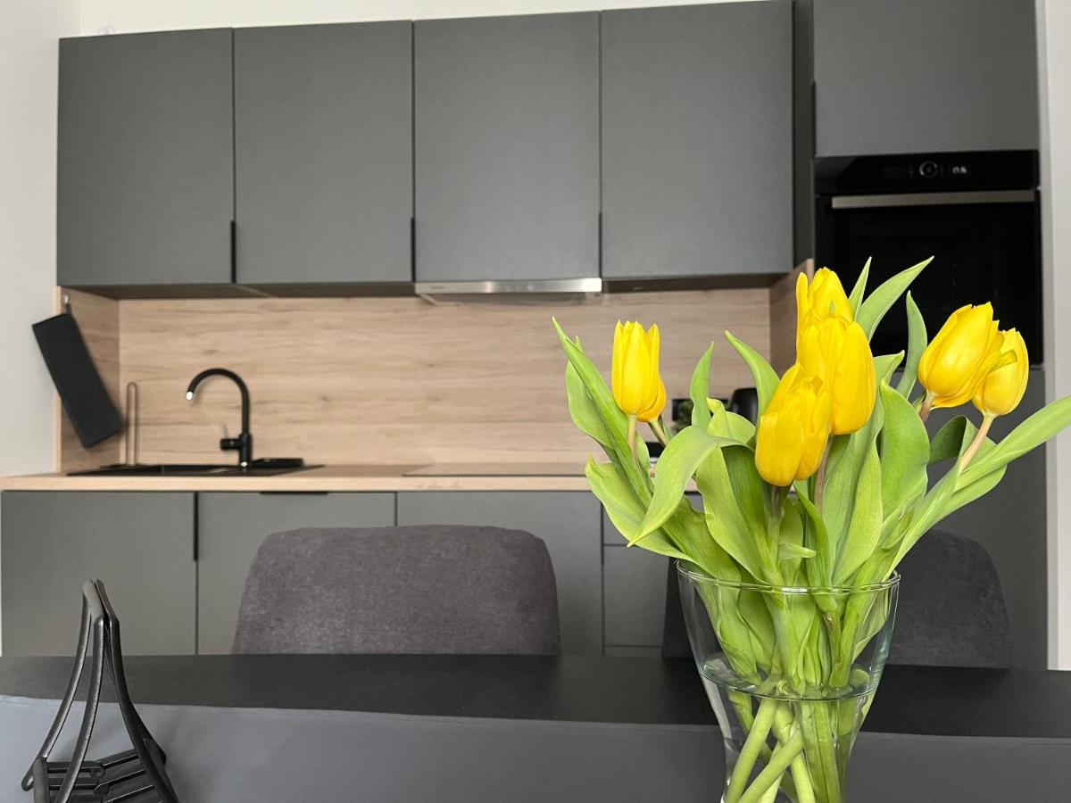 Apartment Kammi Zagrzeb Zewnętrze zdjęcie
